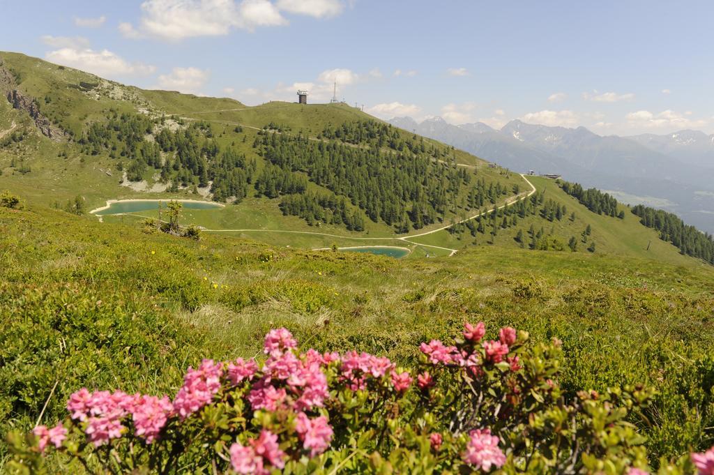 Pension Waldheim Mauterndorf  Dış mekan fotoğraf